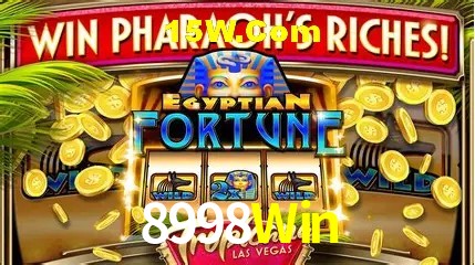 Sistemas de Segurança 8998Win